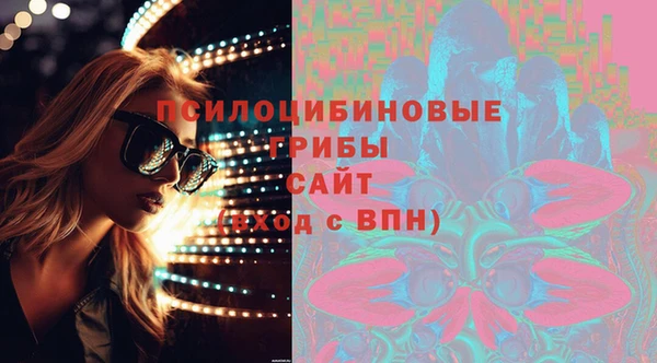PSILOCYBIN Гвардейск