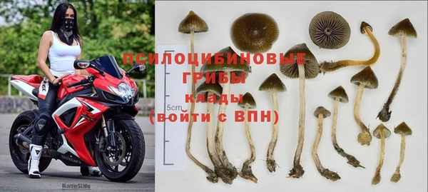 шишки Алексин