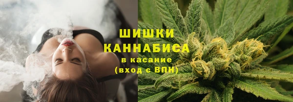 шишки Протвино