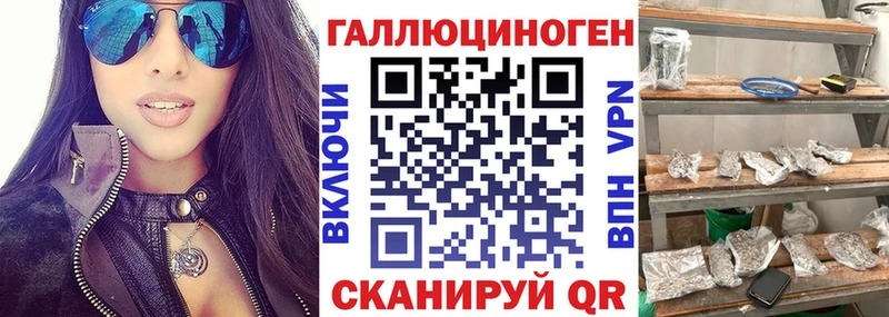 продажа наркотиков  Мичуринск  Галлюциногенные грибы Psilocybine cubensis 